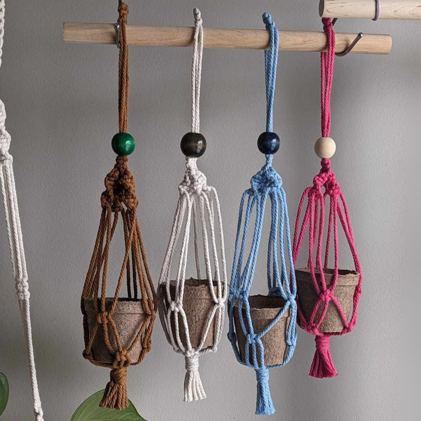 Mini Hanging Macrame Plant Hangers