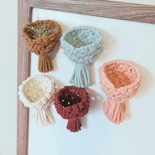 Mini Magnetic Air Plant Holders